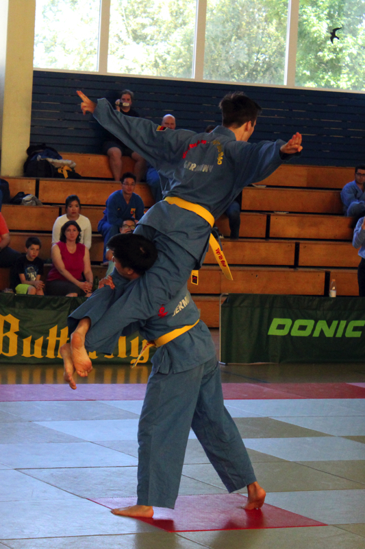 Vovinam Leg Attack